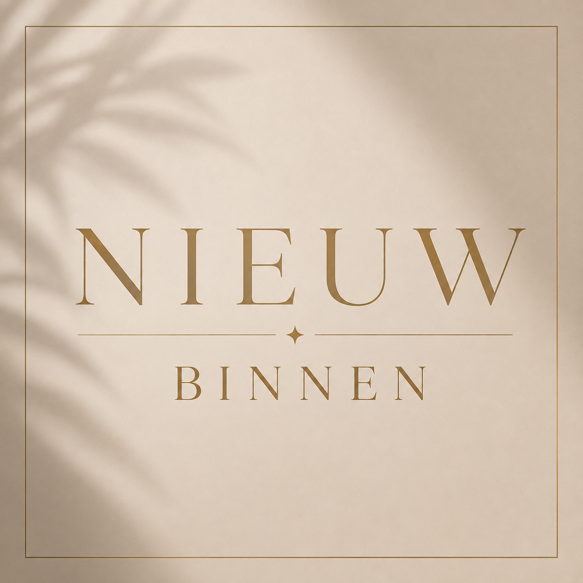 Nieuw binnen